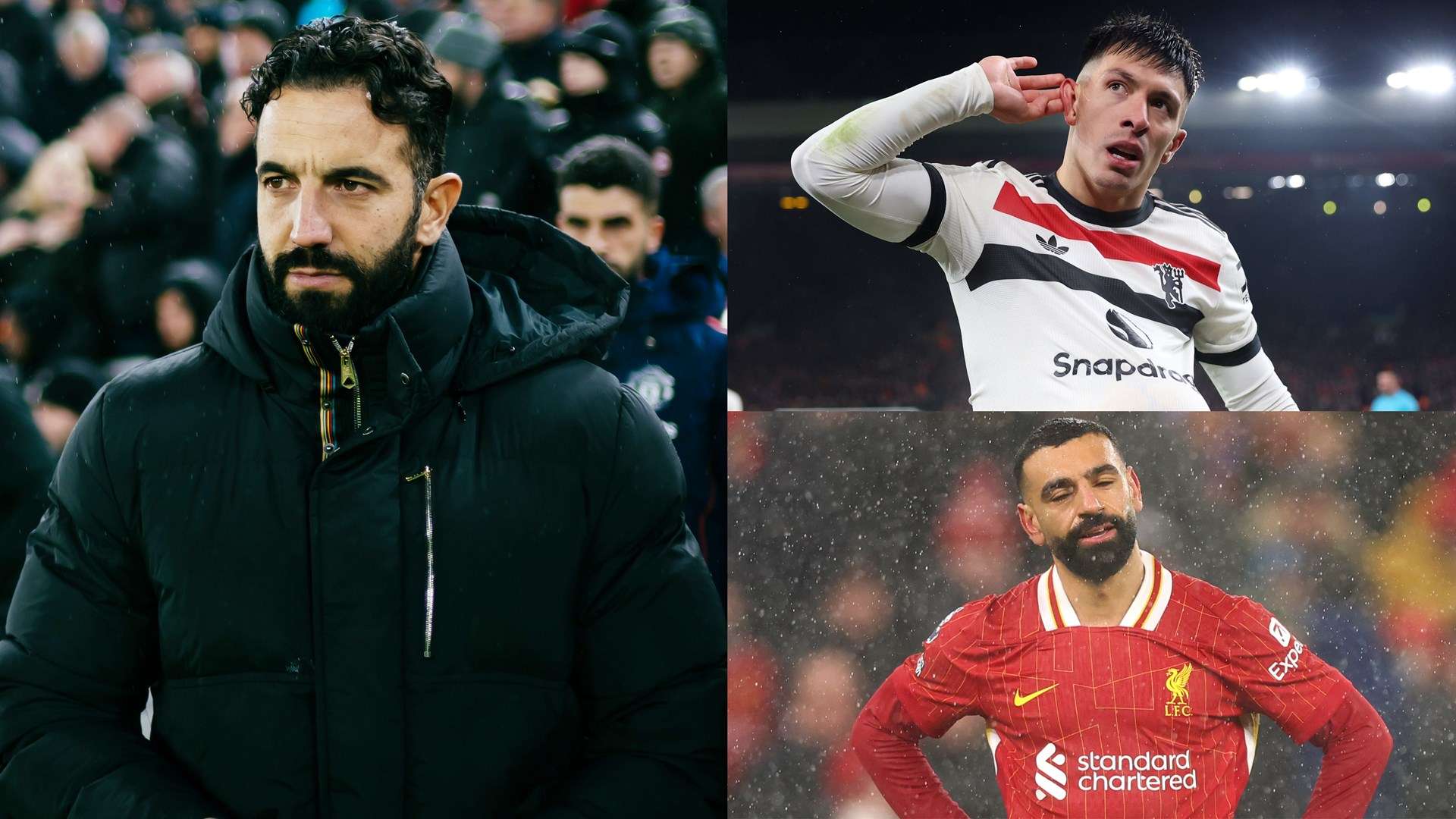 员在哈维的 员在哈维的