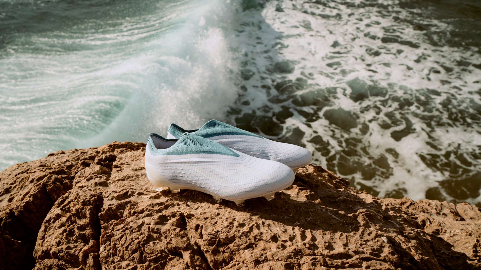 这不仅是对 这不仅是对